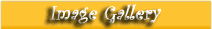 Image Gallery
